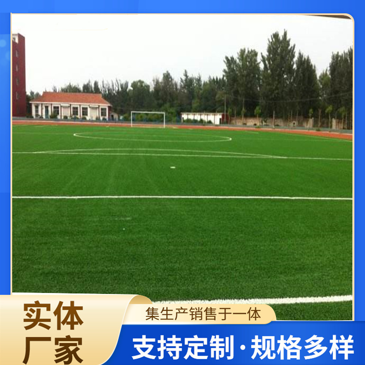 临沂市塑胶跑道人造草坪 - 推荐